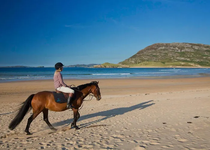 Joyce's Inishowen Gasthof Carndonagh